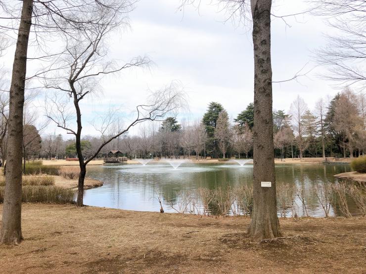 彩の森入間公園噴水