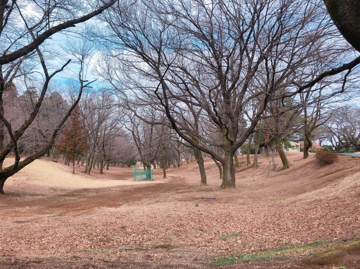 狭山稲荷山公園広場1