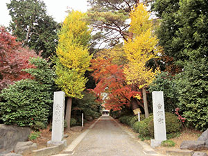 金剛寺