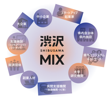 渋沢MIXエコシステム図