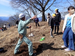 苗のおもてをどちらにするか決めている