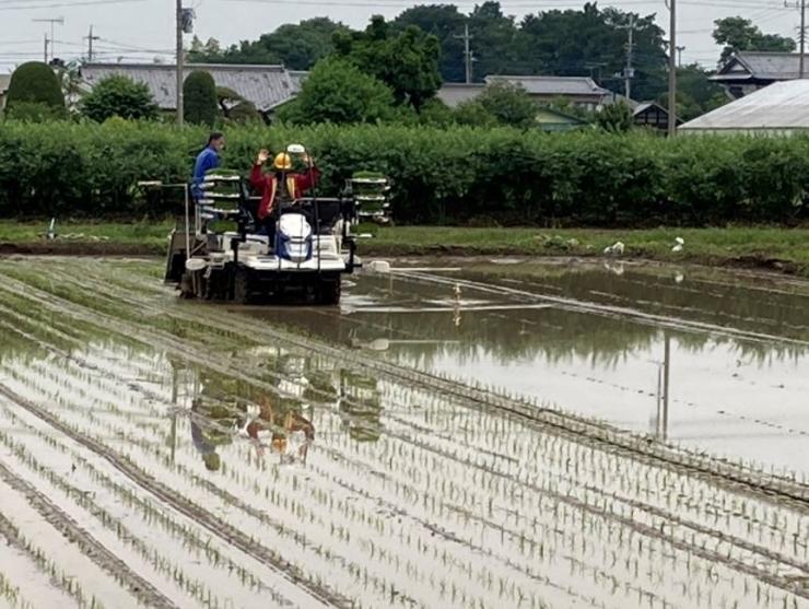 直進アシスト田植え機01