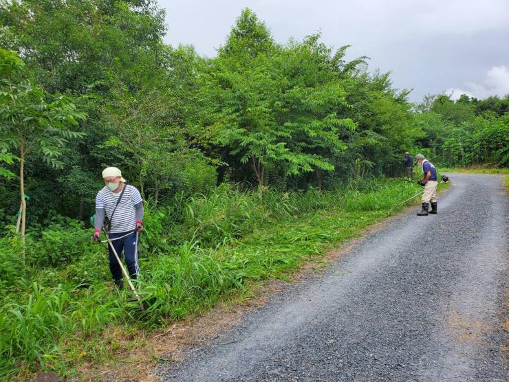 1回目の活動の様子。芝刈り機で道路沿いの下草を刈っている。