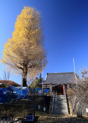 金泉寺