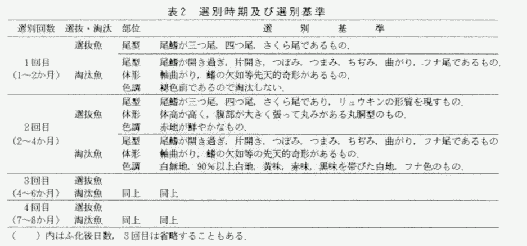 選別時期と選別基準の表