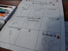 たくさん絵が描かれたネイチャービンゴの用紙