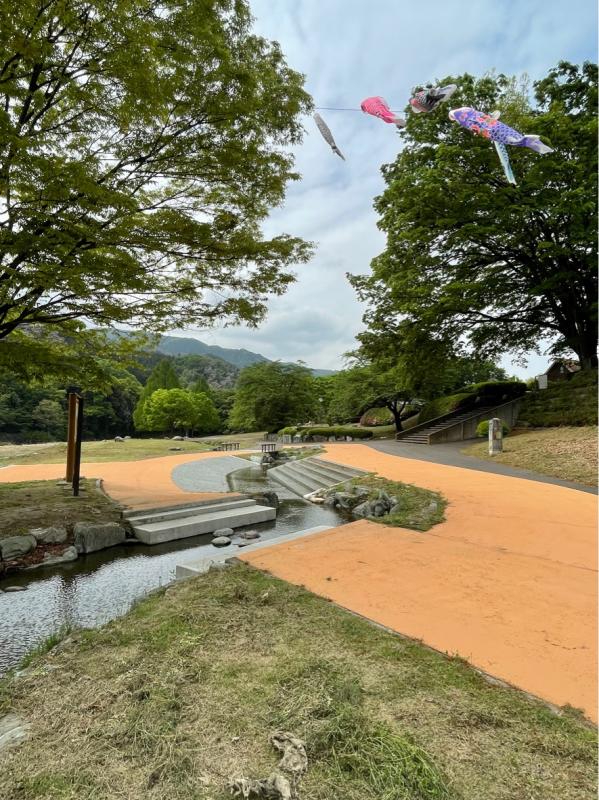 公園内のせせらぎ上空を泳ぐこいのぼり