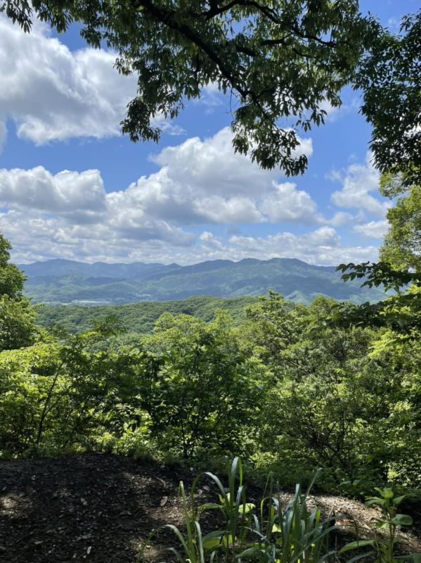 山頂からの眺め