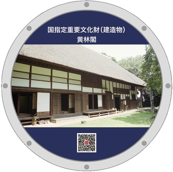 所沢17