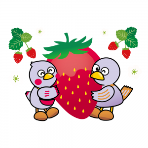 strawberry