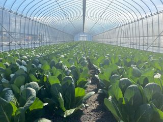 R6のりす（吉川市）