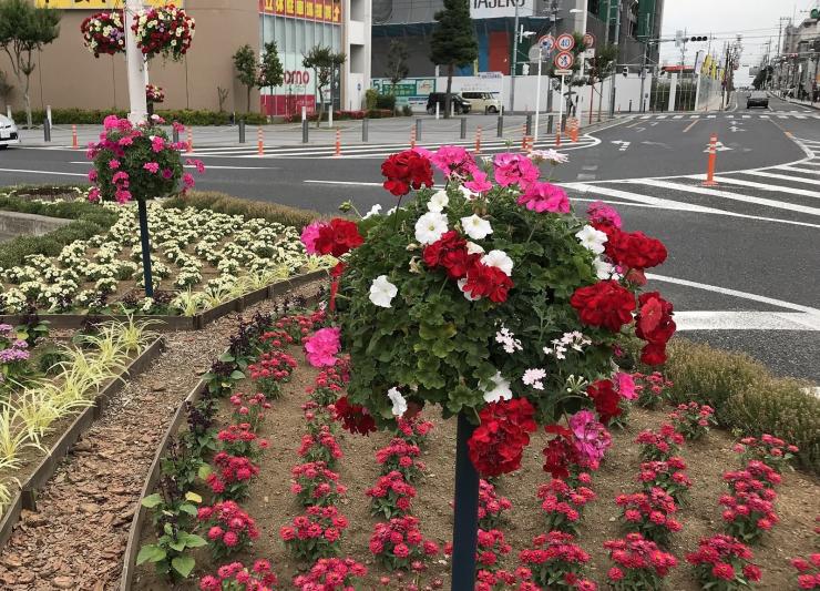 街なかの花装飾