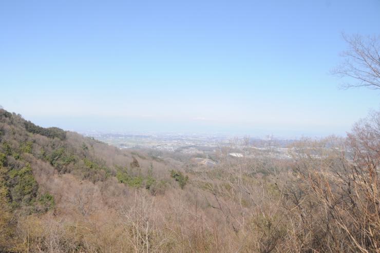 虎ヶ岡城址からの眺め