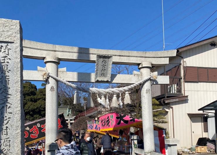 梅宮神社『甘酒祭り』の様子