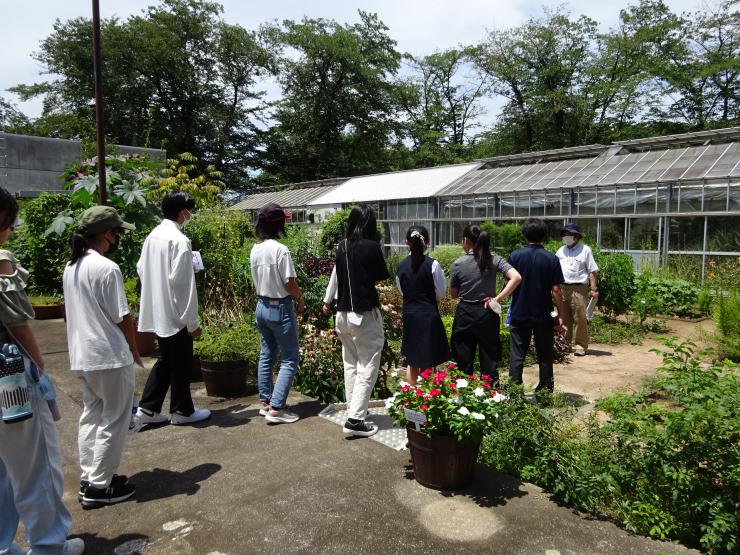 薬用植物園見学