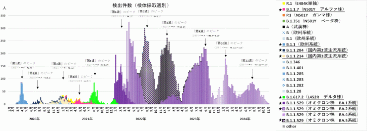 検出ゲノムの推移（2024年12月11日現在）