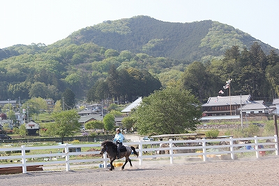 あいあい橋付近の牧場