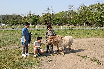 家族で馬とふれあい