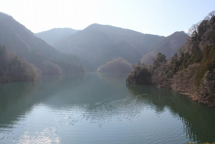 金比羅橋上流の風景