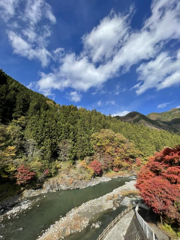 秩父の水と緑の写真