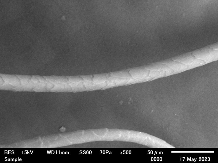 テスト品繊維を500倍拡大した写真