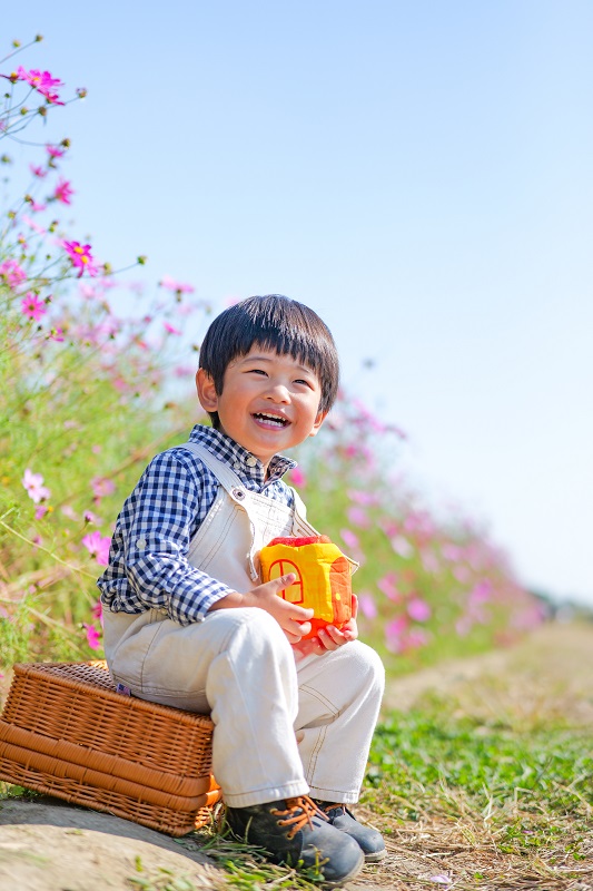 コスモス畑を背景に、座っている男の子の写真