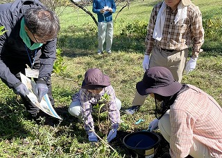 家族でアジサイの植樹をしている様子。子供が植えているのを母親がサポートしている。