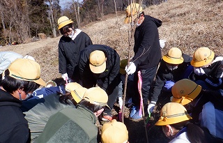 男子児童が苗木を支えて、他の児童が苗木を囲んで、穴に土を戻している。