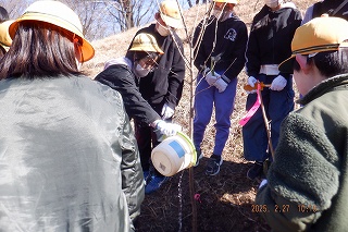 女子児童が苗木に水をやっている。周りの児童は見守っている。