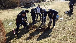 高校生5名がサクラの苗木を植えるスコップで穴を掘っている。
