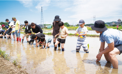 田植え体験ツアーで田植えをしている様子の写真