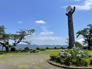 青空をバックにした時計台と水色のアジサイ。