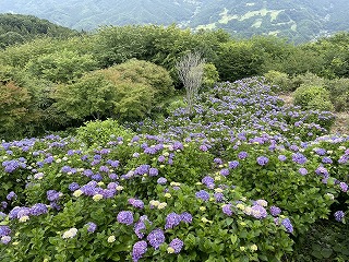 東展望台下