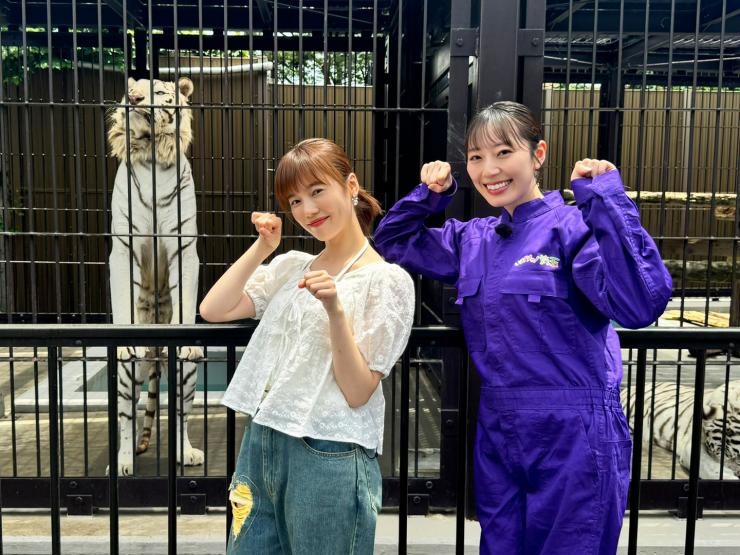 東武動物公園のホワイトタイガーと島崎遥香さんと松井咲子さんの写真