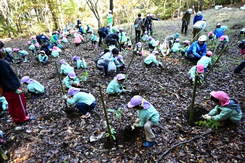 秩父百年の森