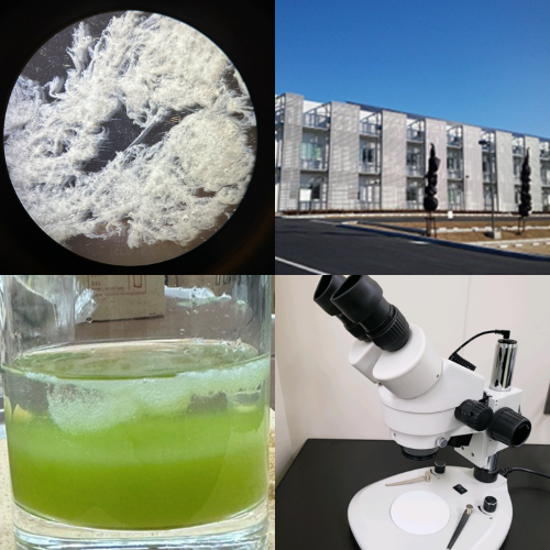 衛生研究所の外観と実験結果の写真