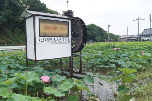 阿那志水車