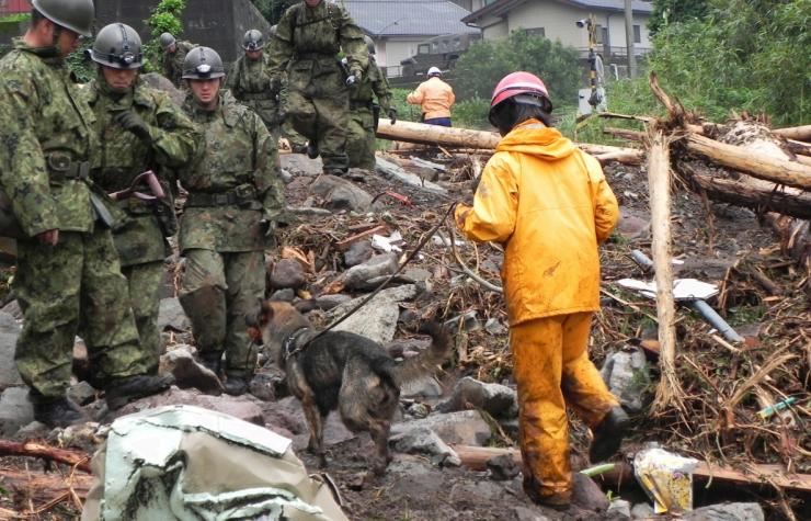 NPO法人日本捜索救助犬協会画像