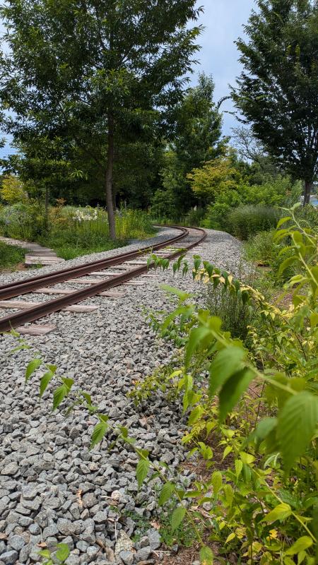 鶴ヶ島市のガーデンパークの線路の写真