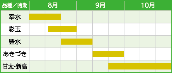 梨の旬カレンダーの表 8月は「幸水」や「彩玉」、9月にかけて「豊水」や「あきづき」が盛んになり、10月には「甘太」や「新高」が旬になる