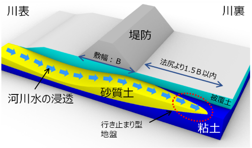 画像13