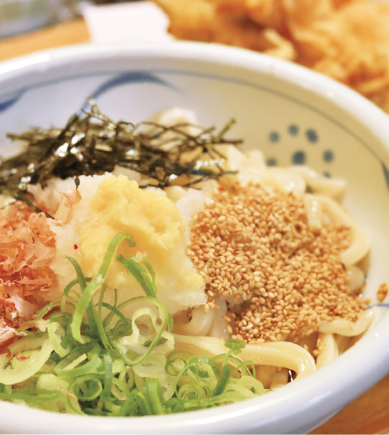 うどん大地のうどんの写真：ゴマや鰹節、ネギなどがかかったうどん