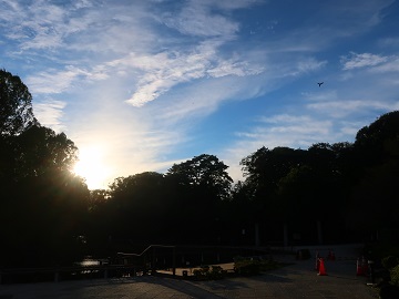 氷川神社側に沈む夕日