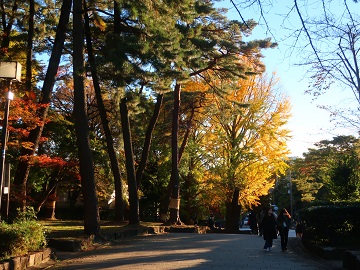 斜陽の坂道