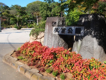 南門の植え込み