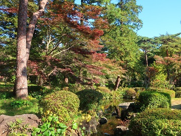 日本庭園の紅葉