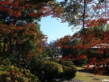 東屋付近の紅葉