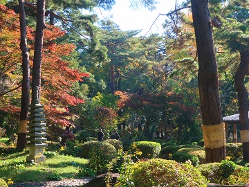 日本庭園の様子