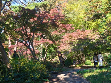 日本庭園北側