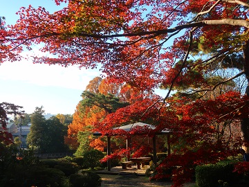 日本庭園東屋